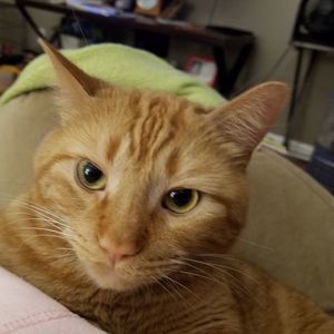 Meet your Posher, Karen